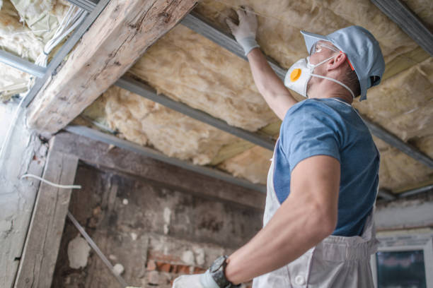 Best Specialized Insulation Services in Clinton, WI