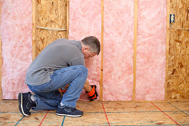 Best DIY Insulation Kits and Guidance in Clinton, WI