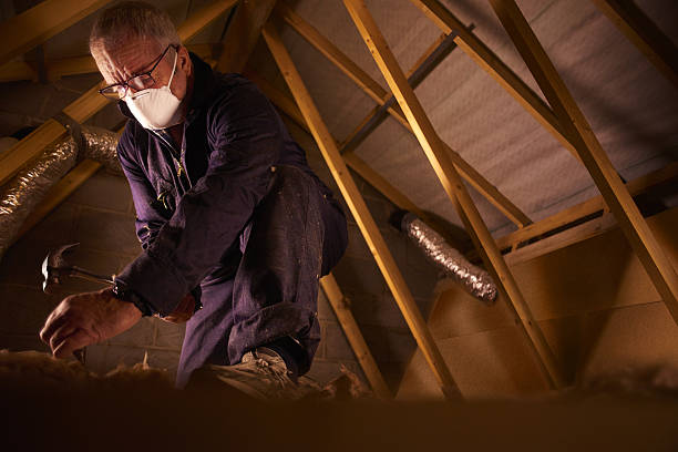 Best Geographic-Specific Insulation Services in Clinton, WI